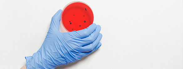 Anatomia Patològica i Citodiagnòstic +1